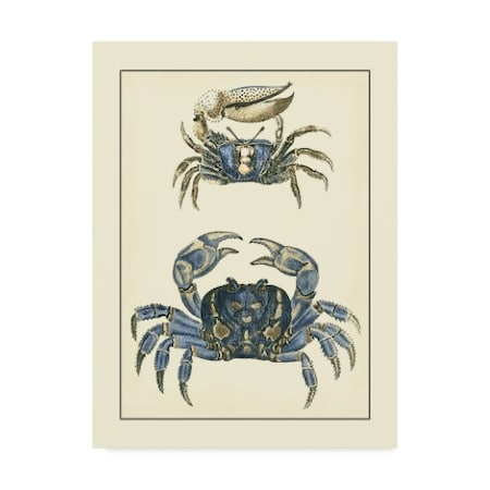 Vision Studio 'Antique Blue Crabs Ii' Canvas Art,35x47